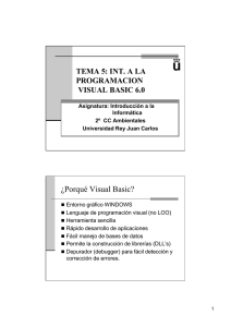 ¿Porqué Visual Basic? - Universidad Rey Juan Carlos