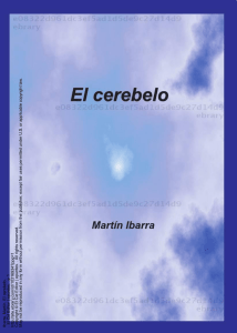 Ibarra, Martín. El cerebelo . : El Cid Editor | apuntes , . p 1 http://site