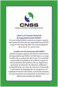 ¿Qué es el Consejo Nacional de Seguridad Social (CNSS