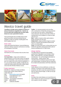 Mexico travel guide