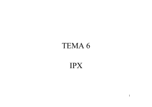 TEMA 6 IPX