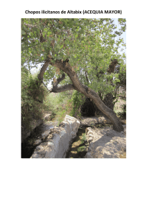 Catálogo árboles Elche