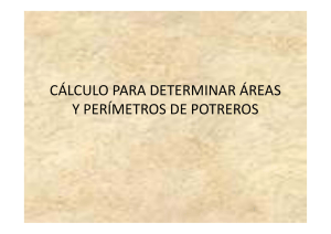 cálculo para determinar áreas y perímetros de potreros