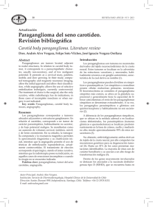 Paraganglioma del seno carotídeo. Revisión bibliográfica