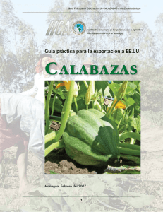 Guía práctica de Exportación de Calabazas a los Estados