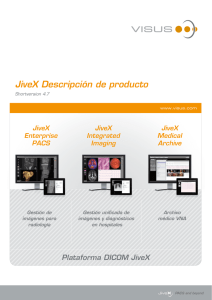 JiveX Descripcion deproducto 4 7 ES short