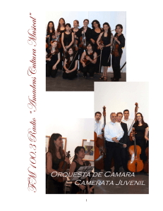 Orquesta Juvenil - Amadeus Cultura Musical
