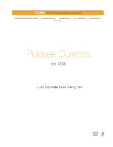 Pulques Curados - Universidad Autónoma del Estado de México