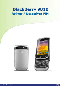 activar-desactivar-pin- BB 9810