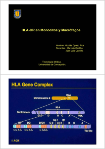HLA-DR en Monocitos y Macrófagos
