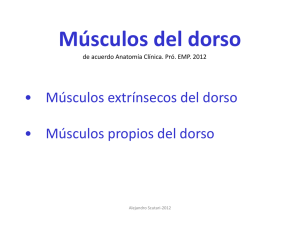 2016-Músculos del Dorso