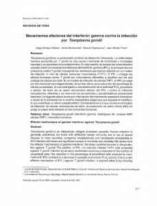 Mecanismos efectores del interferón gamma contra la infección por