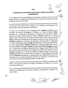 ACTA IX REUNION DE LA INSTANCIA EJECUTIVA Del