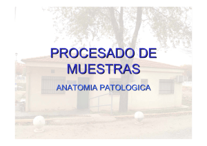 procesado de muestras en anatomía patológica