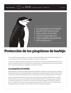 Protección de los pingüinos de barbijo