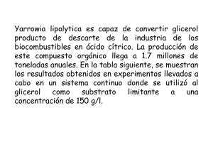 Yarrowia lipolytica es capaz de convertir glicerol producto de