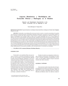 Aspectos Biométricos y Morfológicos del Pericardio Fibroso y