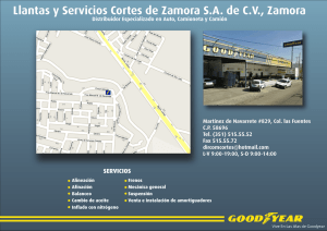 Llantas y Servicios Cortes de Zamora SA de CV, Zamora