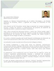 Ing. Joaquín Peña Velázquez Director de ICM Consultoría Ingeniero