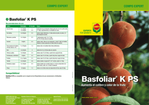 Basfoliar® K PS