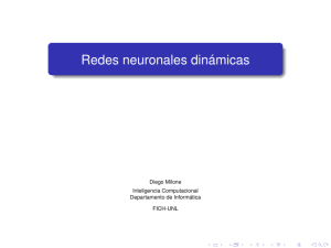 Redes neuronales dinámicas