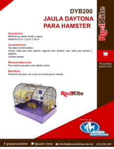 dyb200 jaula daytona para hamster