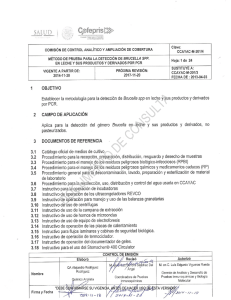 DOCUMENTO DE CONSULTA