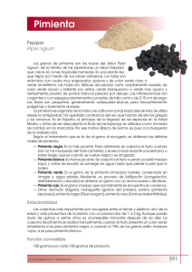 Pimienta - FEN. Fundación Española de la Nutrición
