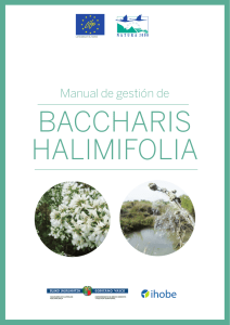 Manual de gestión de BACCHARIS HALIMIFOLIA