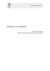 El Pleno y sus Comisiones (127 Kbytes pdf)