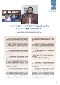SOCIEDADES HOLDINGS FAMILIARES