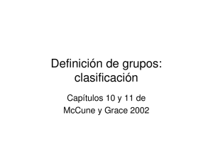 Definición de grupos: clasificación
