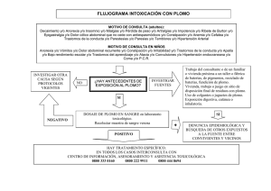 FLUJOGRAMA INTOXICACIÓN CON PLOMO +