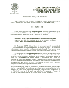 COMITE DE INFORMACION OFICIO No. 042/CE/UE/2007