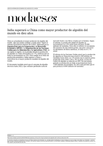 India superará a China como mayor productor de algodón del