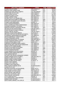 apellidos y nombres cargo nivel ingreso total chambi ruelas daniel
