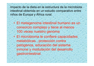 El metagenoma intestinal humano es un consorcio complejo y tiene