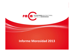 Informe Morosidad 2013