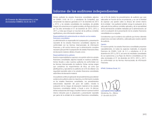 Informe de los auditores independientes (pdf 590 Kb)