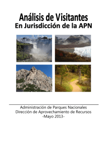 Informe anual visitantes 2013