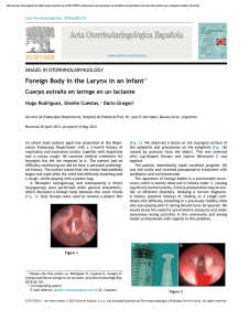 Foreign Body in the Larynx in an Infant