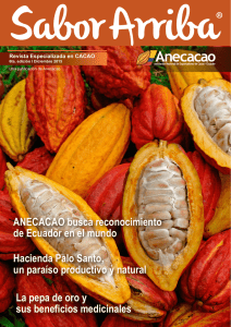 ANECACAO busca reconocimiento de Ecuador en el mundo