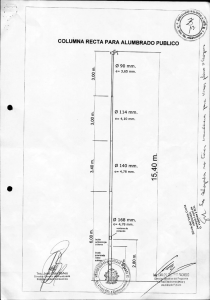 COLUMNA RECTA PARA ALUMBRADO PUBLICO `