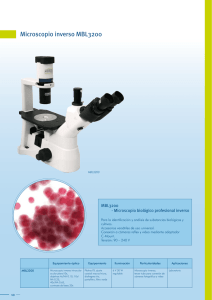 Microscopio inverso MBL3200