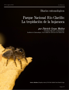 Diarios entomológicos. Parque Nacional Rio Clarillo