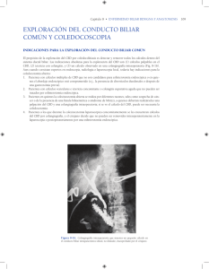 exploración del conducto biliar común y coledocoscopia