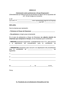ANEXO VII - Declaración sobre pertenencia a Grupo Empresarial