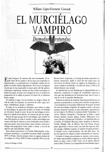 el murcielago vampiro - Revista de la Universidad de México