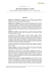 MICOPLASMOSIS AVIAR (Mycoplasma gallisepticum, M