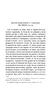 ROCAS BASALTICAS y CASCADA DE REGLA (1) (2) Con la latitud